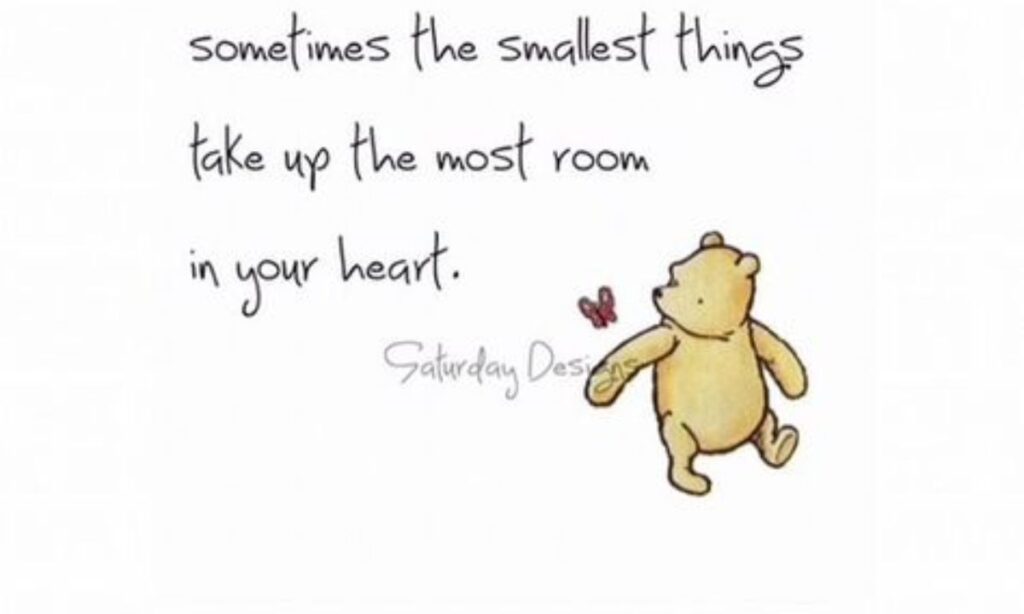 Motivational Mama Bear Quotes